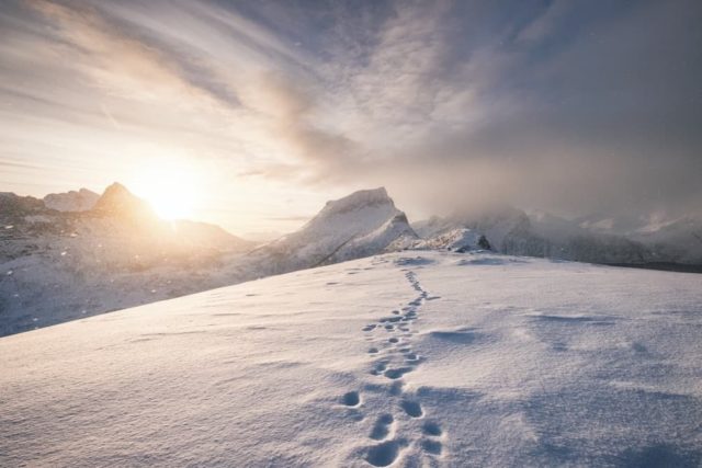 Footsteps in snow - Conscious evolution - Kai Wellness